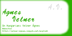 agnes velner business card