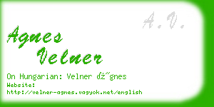 agnes velner business card